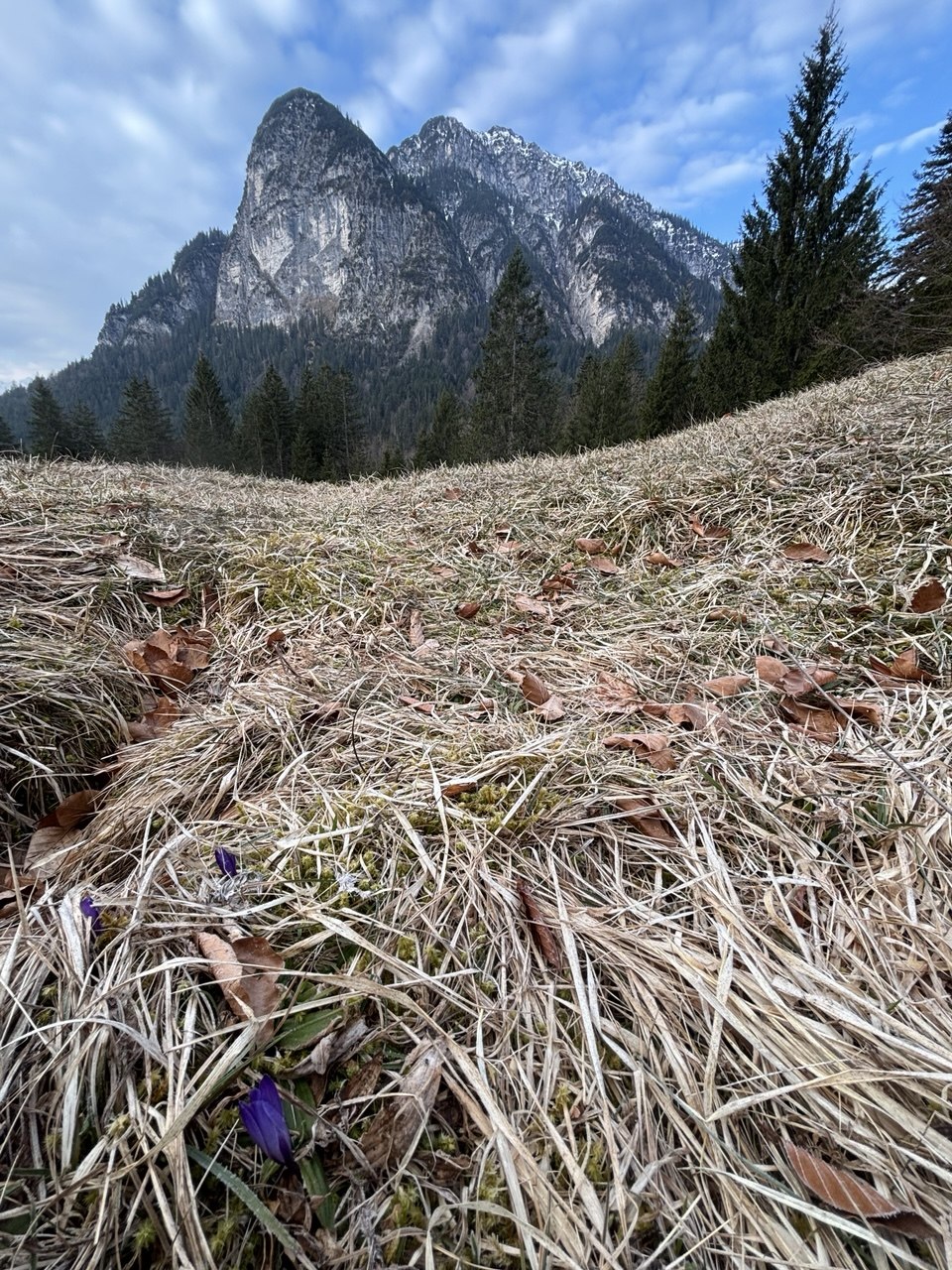 photo_2026-03-25_19-40-53