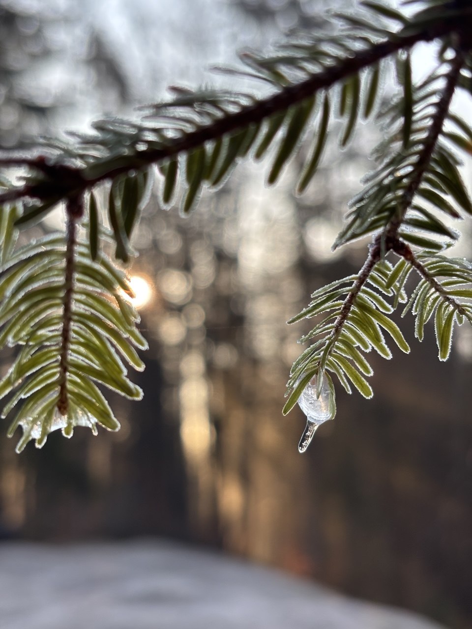photo_2026-03-25_19-42-20